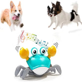 Interactive Dancing Crab Pet Toy – Musical Fun for Dogs & Cats